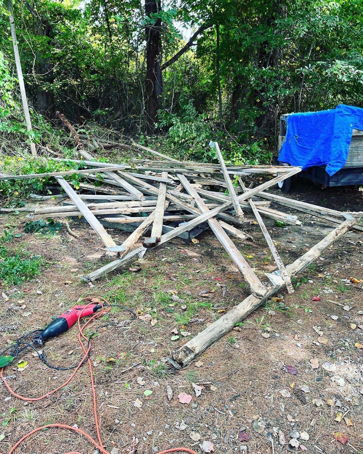 Yard Cleanup